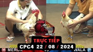 Trực Tiếp thomo CPC4 ngày 22-08-2024