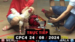 Trực Tiếp thomo CPC4 ngày 24-08-2024