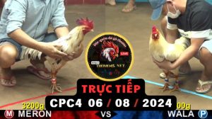 Trực Tiếp thomo CPC4 ngày 06-08-2024