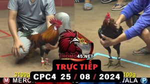 Trực Tiếp thomo CPC4 ngày 25-08-2024
