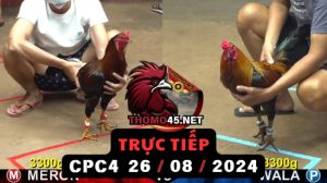 Trực Tiếp thomo CPC4 ngày 26-08-2024