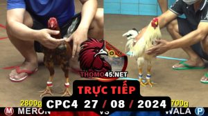 Trực Tiếp thomo CPC4 ngày 27-08-2024
