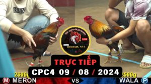 Trực Tiếp thomo CPC4 ngày 09-08-2024
