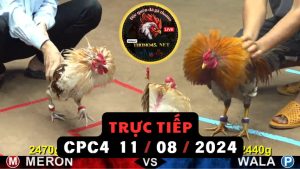 Trực Tiếp thomo CPC4 ngày 11-08-2024