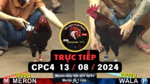 Trực Tiếp thomo CPC4 ngày 13-08-2024