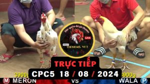 Trực Tiếp thomo CPC5 ngày 18-08-2024