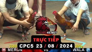 Trực Tiếp thomo CPC5 ngày 23-08-2024