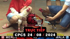 Trực Tiếp thomo CPC5 ngày 24-08-2024