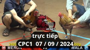 Trực Tiếp thomo CPC1 ngày 07-09-2024
