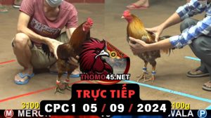 Trực Tiếp thomo CPC1 ngày 05-09-2024
