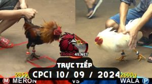 Trực Tiếp thomo CPC1 ngày 10-09-2024