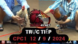 Trực Tiếp thomo CPC1 ngày 12-09-2024