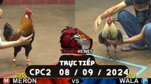 Trực Tiếp thomo CPC2 ngày 08-09-2024