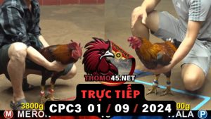 Trực Tiếp thomo CPC3 ngày 01-09-2024