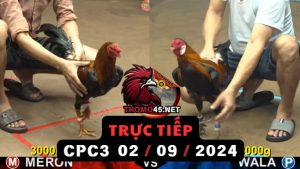 Trực Tiếp thomo CPC3 ngày 02-09-2024