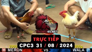 Trực Tiếp thomo CPC3 ngày 31-08-2024