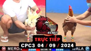Trực Tiếp thomo CPC3 ngày 04-09-2024