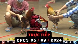 Trực Tiếp thomo CPC3 ngày 05-09-2024