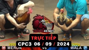 Trực Tiếp thomo CPC3 ngày 06-09-2024