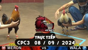 Trực Tiếp thomo CPC3 ngày 08-09-2024