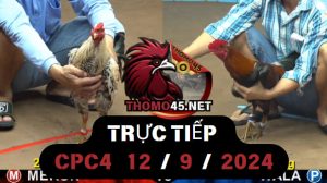 Trực Tiếp thomo CPC4 ngày 12-09-2024