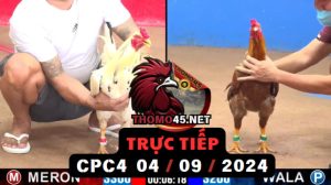 Trực Tiếp thomo CPC4 ngày 04-09-2024