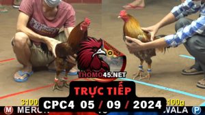Trực Tiếp thomo CPC4 ngày 05-09-2024