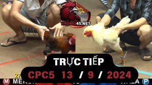Trực Tiếp thomo CPC5 ngày 13-09-2024