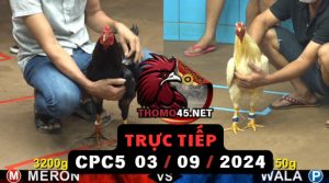 Trực Tiếp thomo CPC5 ngày 03-09-2024