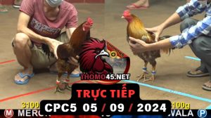 Trực Tiếp thomo CPC5 ngày 05-09-2024