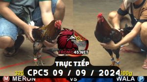 Trực Tiếp thomo CPC5 ngày 09-09-2024
