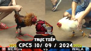 Trực Tiếp thomo CPC5 ngày 10-09-2024