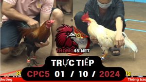 Trực Tiếp thomo CPC1 ngày 05-10-2024